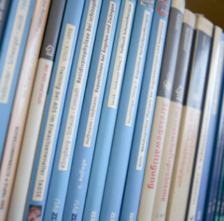 Andrea Schult Bücher blau